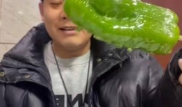 网红吃瓜胖子图片高清,网友热议身材与美食诱惑